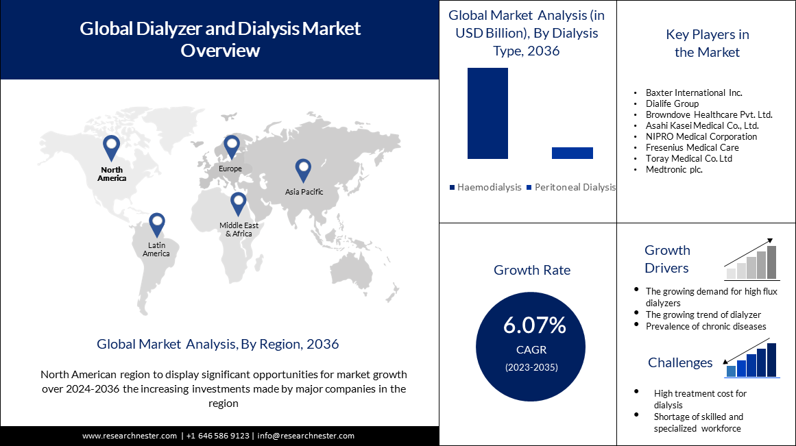 Dialyzer and Dialysis Market